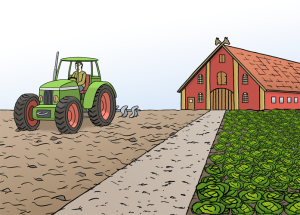 Auf dem Bild sieht man einen Bauernhof mit Traktor, Feld und Gemüse – hier wird Landwirtschaft betrieben.