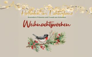 Auf dem Bild sieht man einen Vogel, der auf einem Ast sitzt. Es ist ein weihnachtliches Bild.