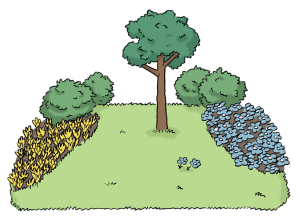 Das Bild zeigt einen Garten mit Bäumen, Sträuchern und Blumen.